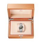 Seamaster Aqua Terra 38mm - Green on Bracelet