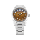 Sector II Sport Tiger's Eye 38mm - Brown on Bracelet